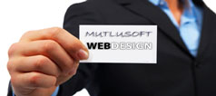 Web Tasarımı
